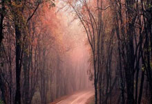 红军后卫阿诺德料下赛季加盟西甲皇马.