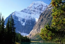 无缘联手梅西，罗马诺：C罗短期合同加盟迈阿密国际简直“胡扯”.